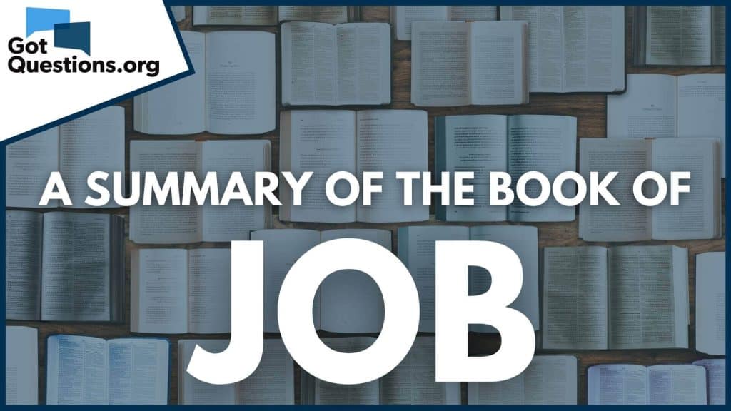 best job bible study questions