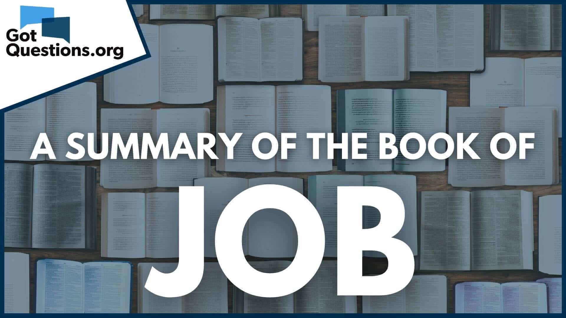 best job bible study questions
