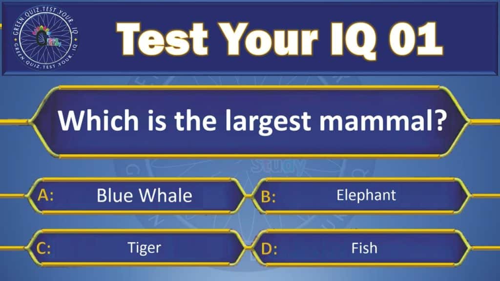 best kbc questions