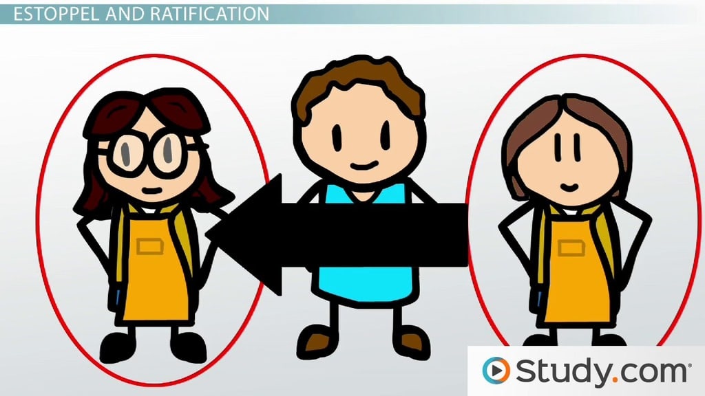 best law of agency questions and answers