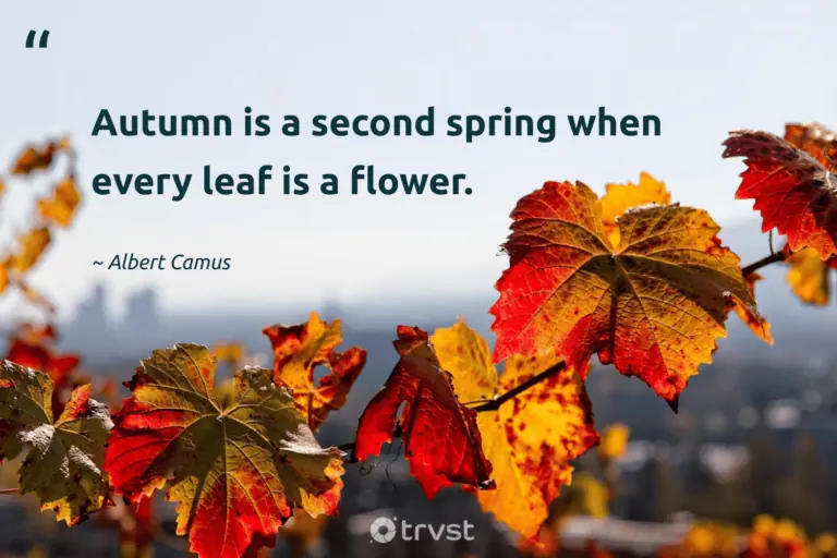 best leaf quotes short