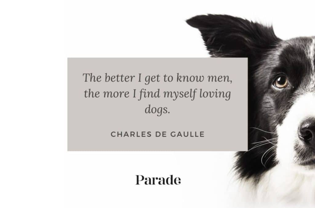 best lessons from dogs quotes