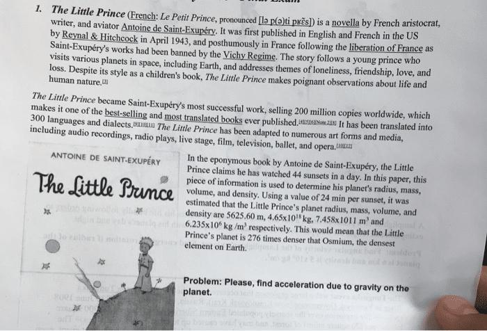 best little prince discussion questions