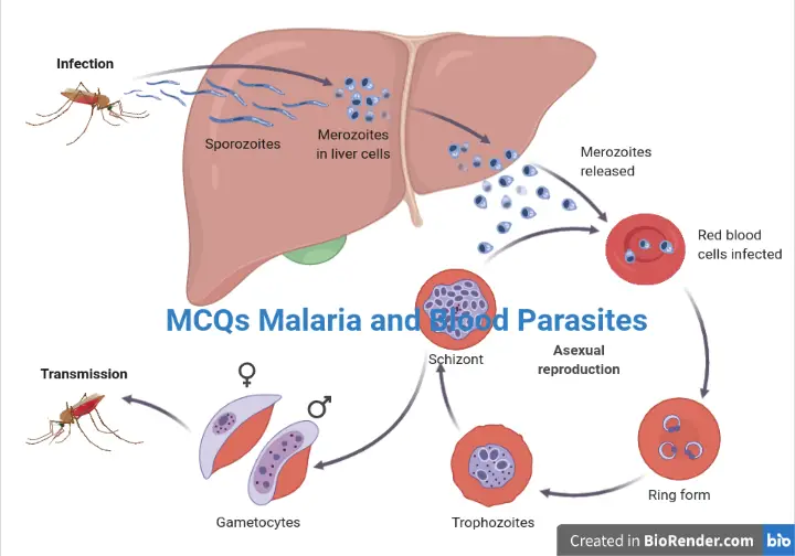 best malaria questions