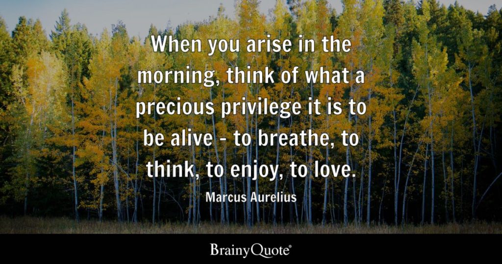 best marcus aurelius quotes when you arise in the morning