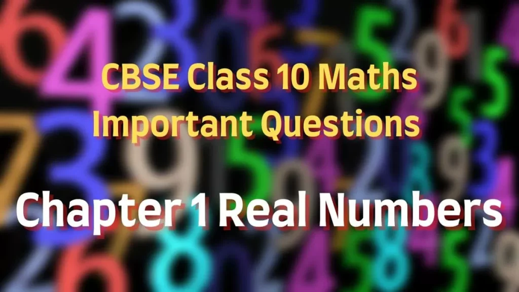 best mark chapter 1 questions and answers