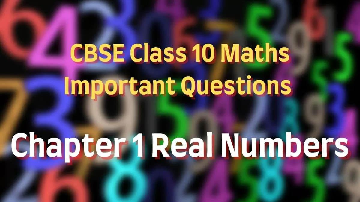 best mark chapter 1 questions and answers