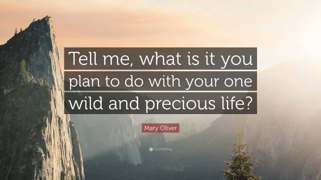 best mary oliver quotes scaled