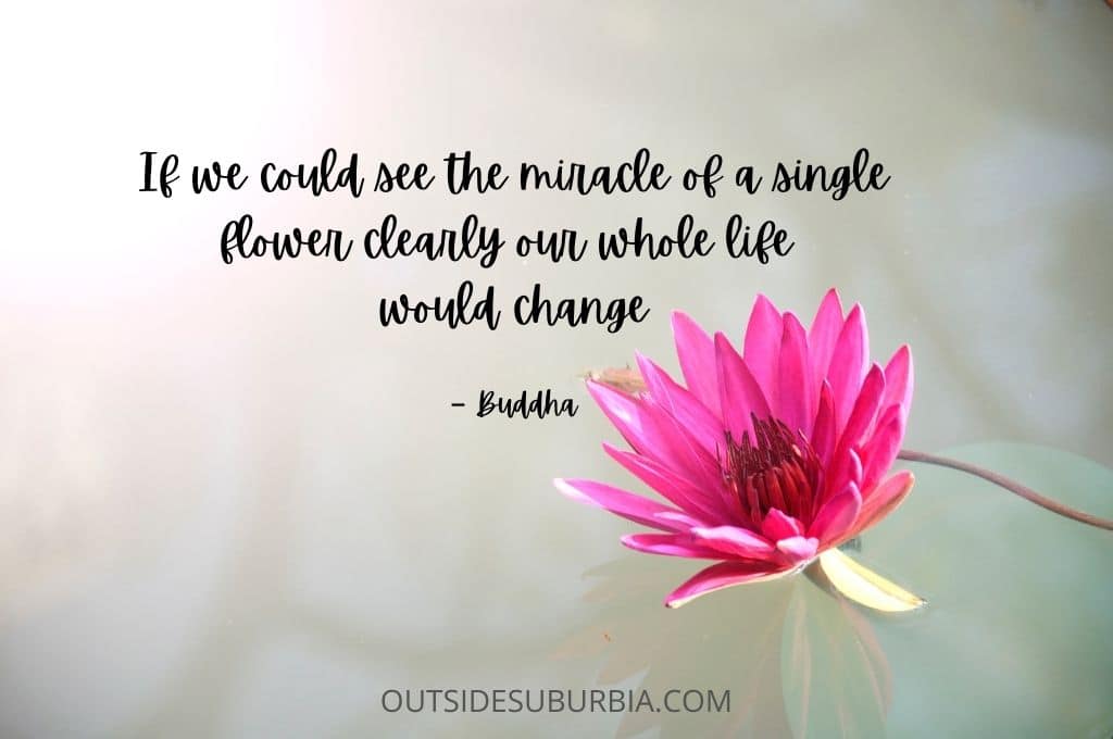 best may flower quotes