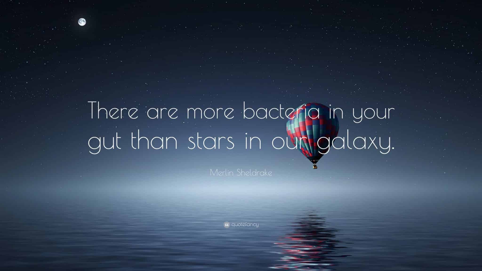 best merlin quotes scaled