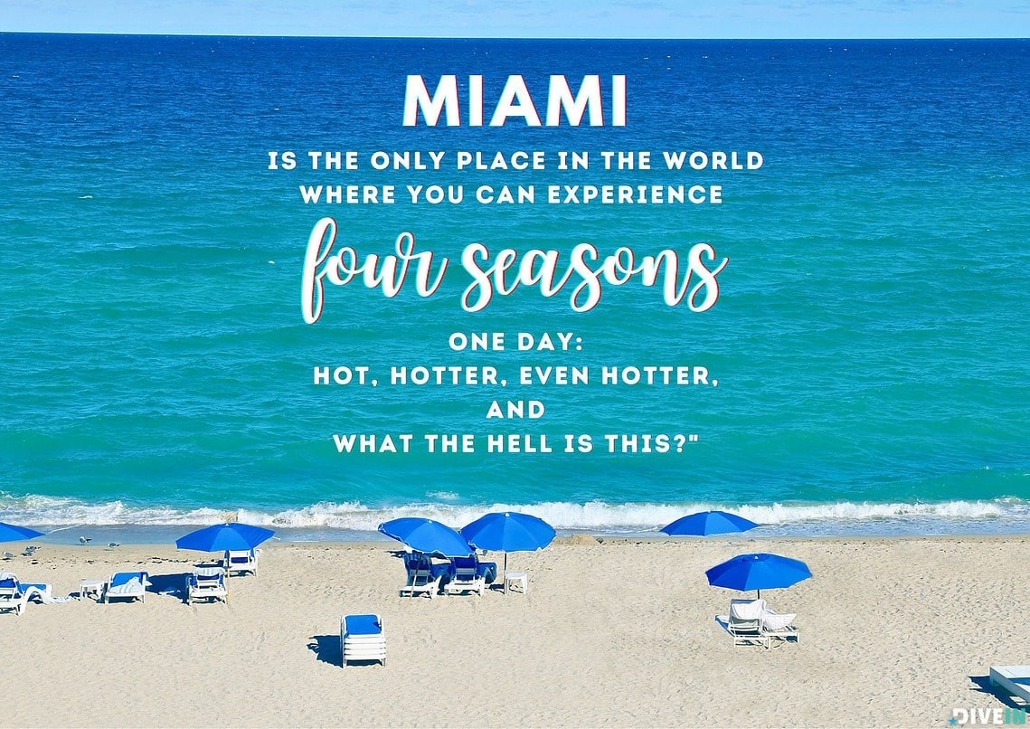 best miami beach quotes
