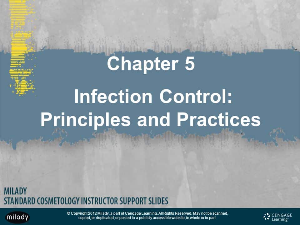best milady chapter 5 infection control review questions