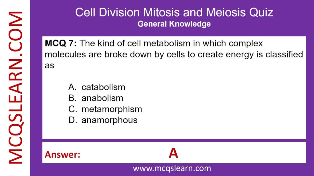 best mitosis and meiosis questions