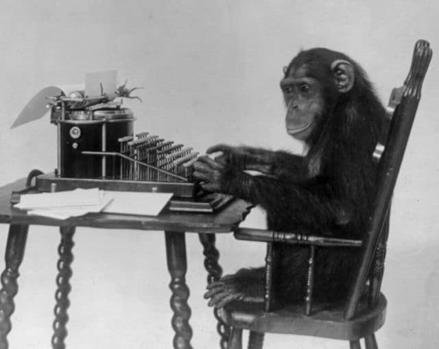 best monkey questions