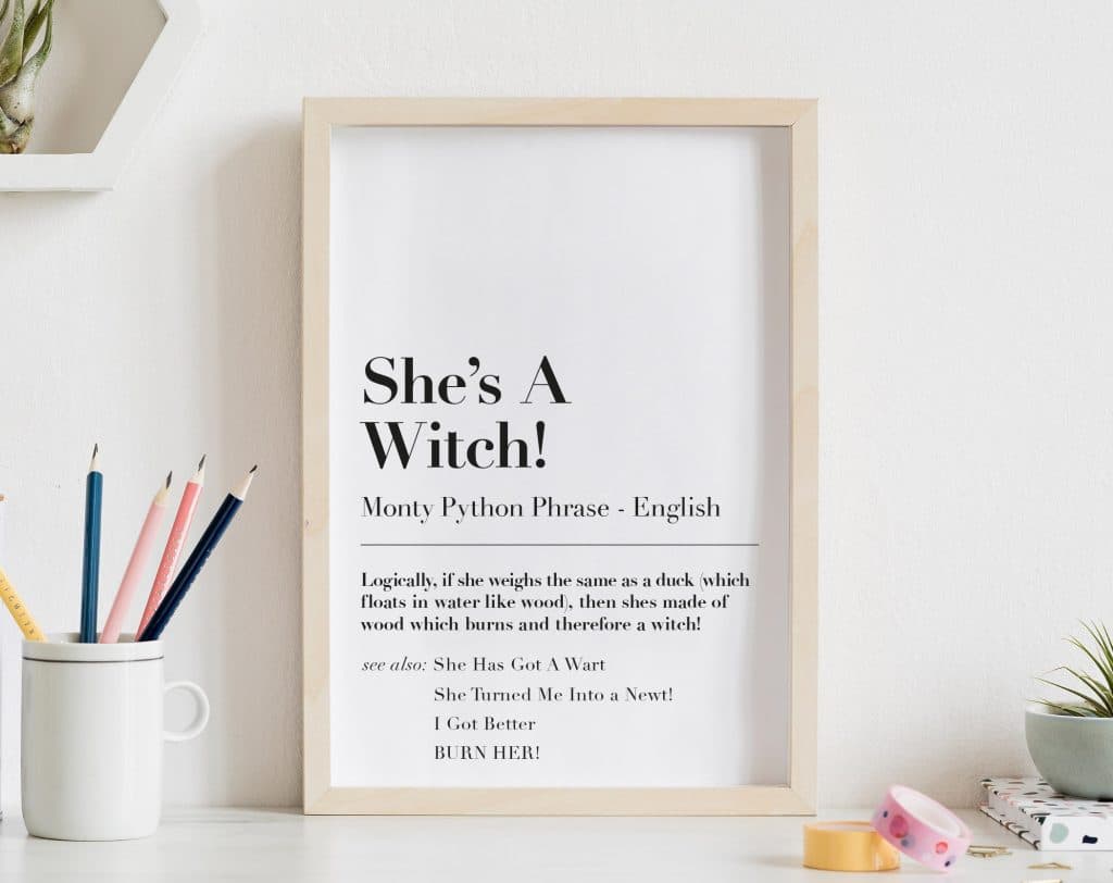best monty python and the holy grail witch quotes
