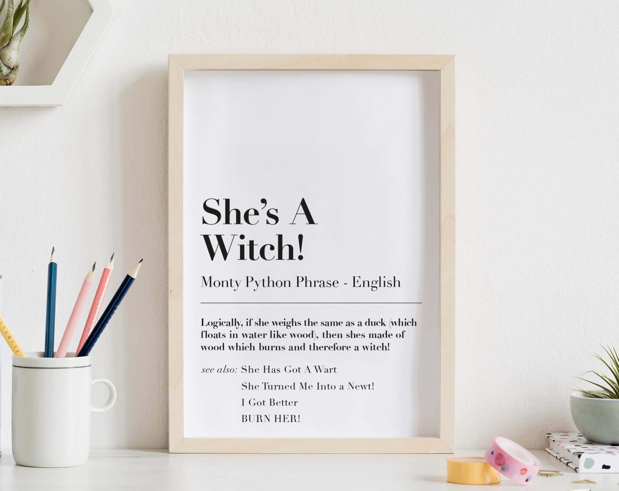 best monty python and the holy grail witch quotes