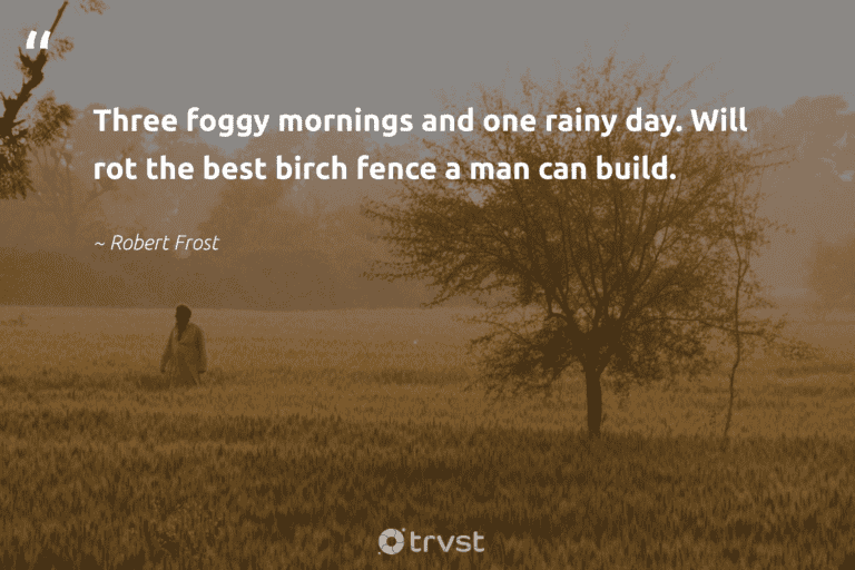best morning fog quotes
