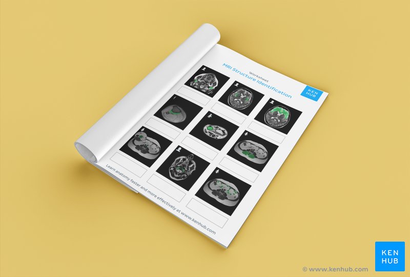 best mri quiz questions