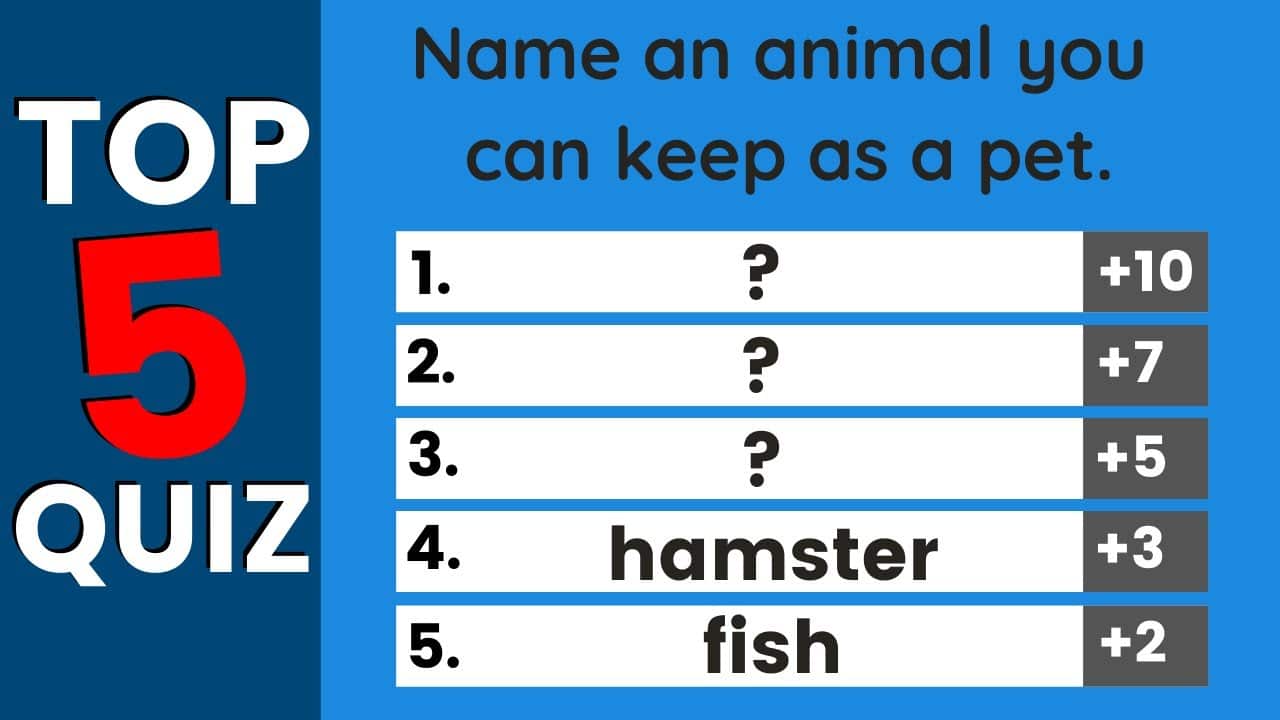 best name 5 game questions