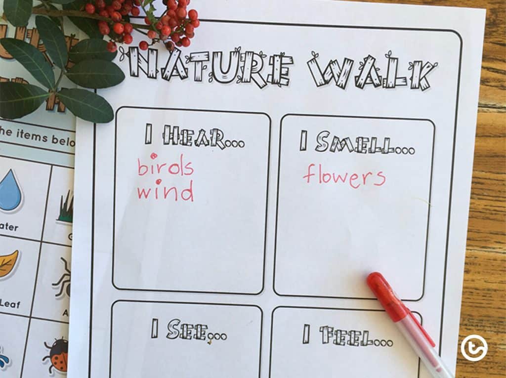best nature questions for kids
