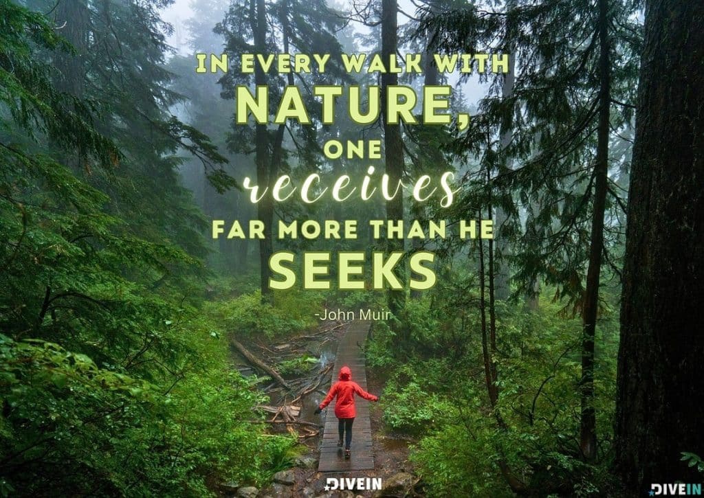 best nature quotes for instagram