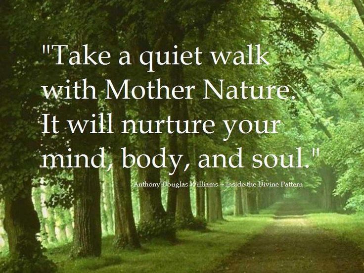 best nature walk quotes