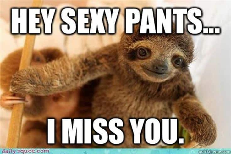 best naughty memes and quotes for him