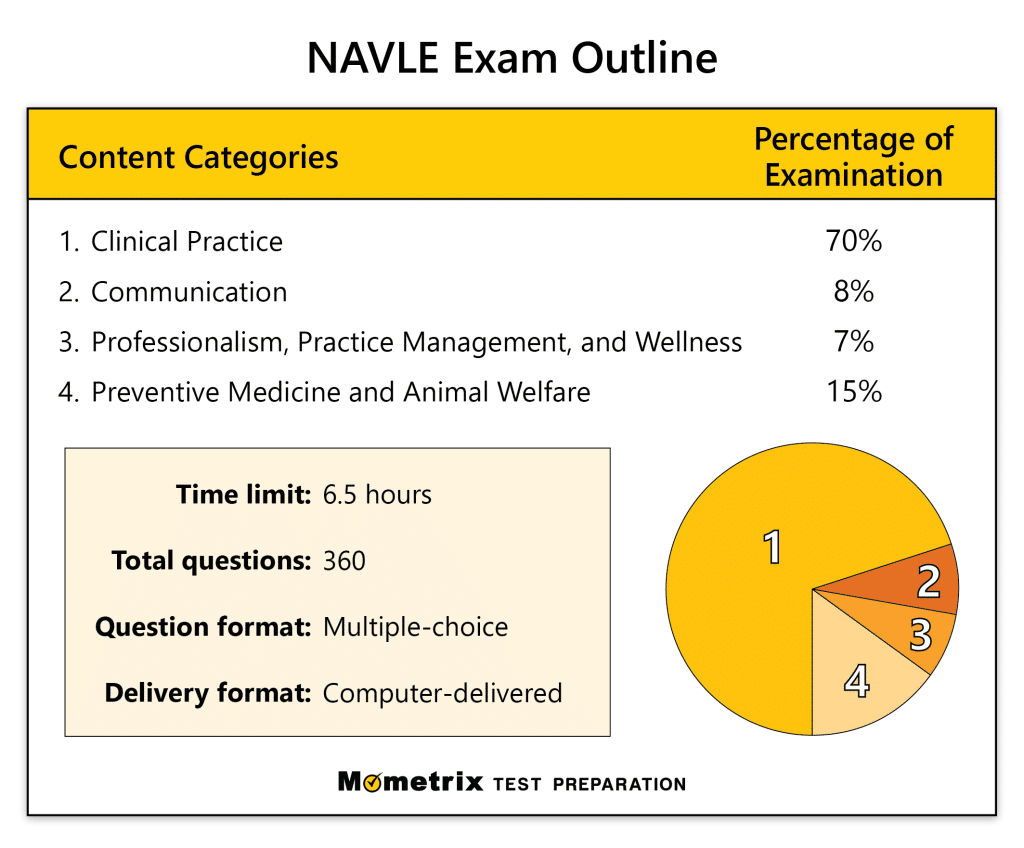 best navle sample questions