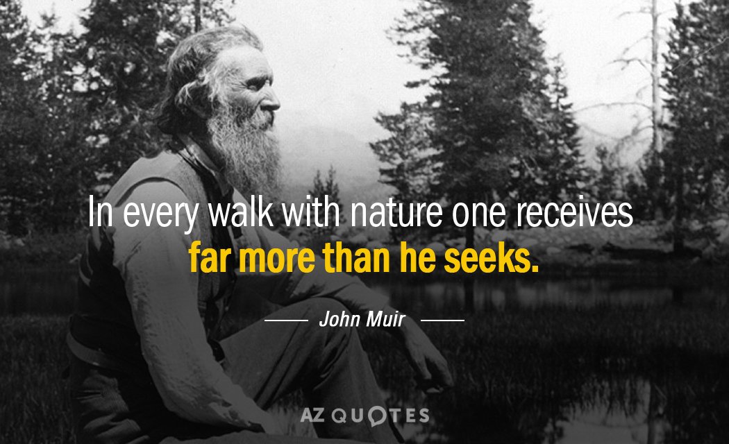best neature walk quotes