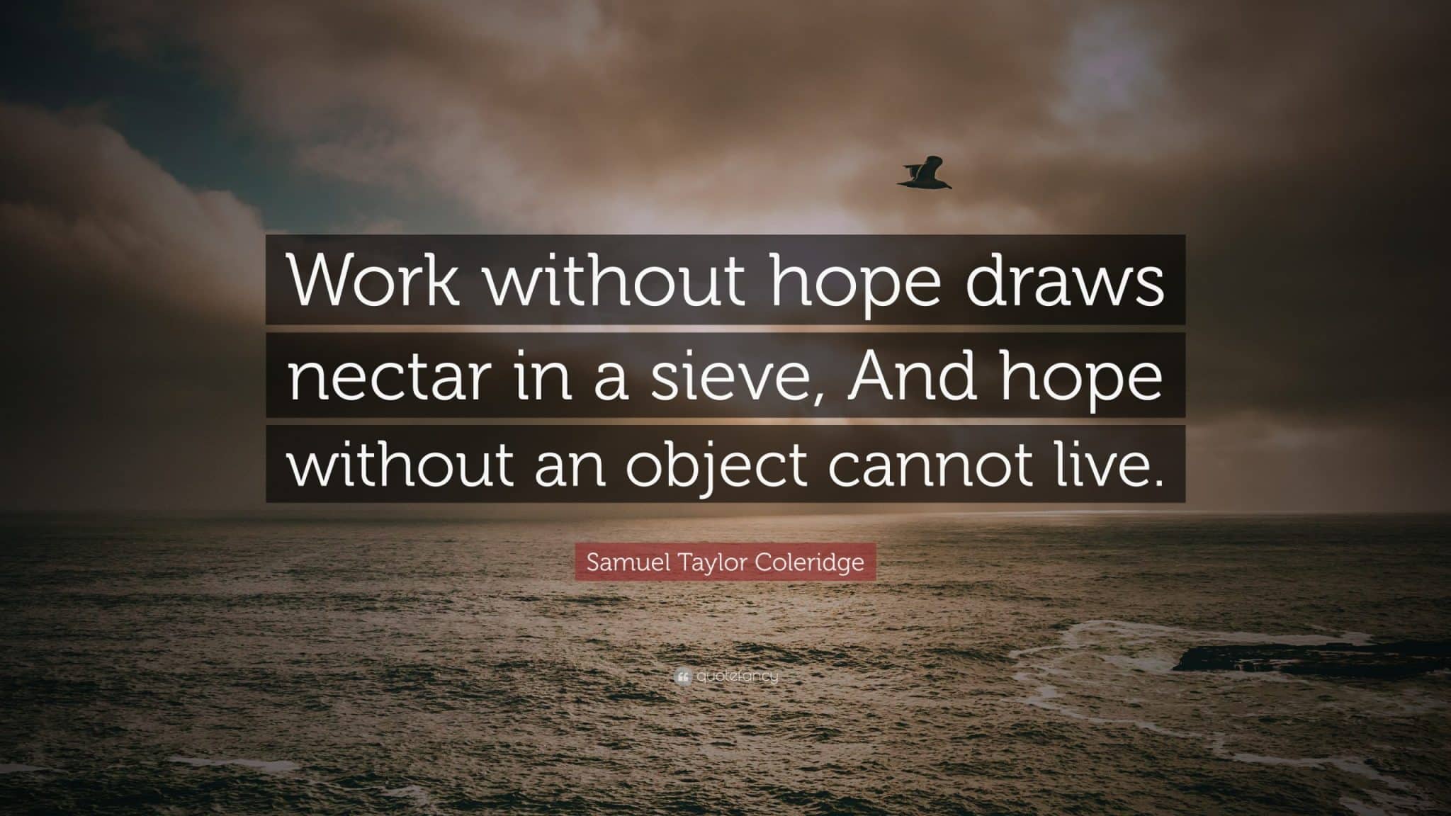 best nectar in a sieve quotes scaled