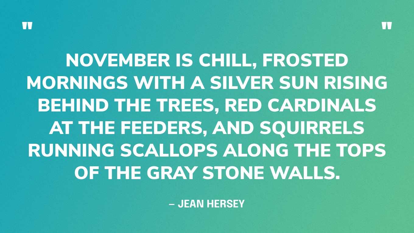 best november quotes