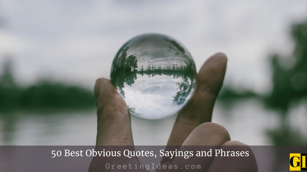 best obvious quotes