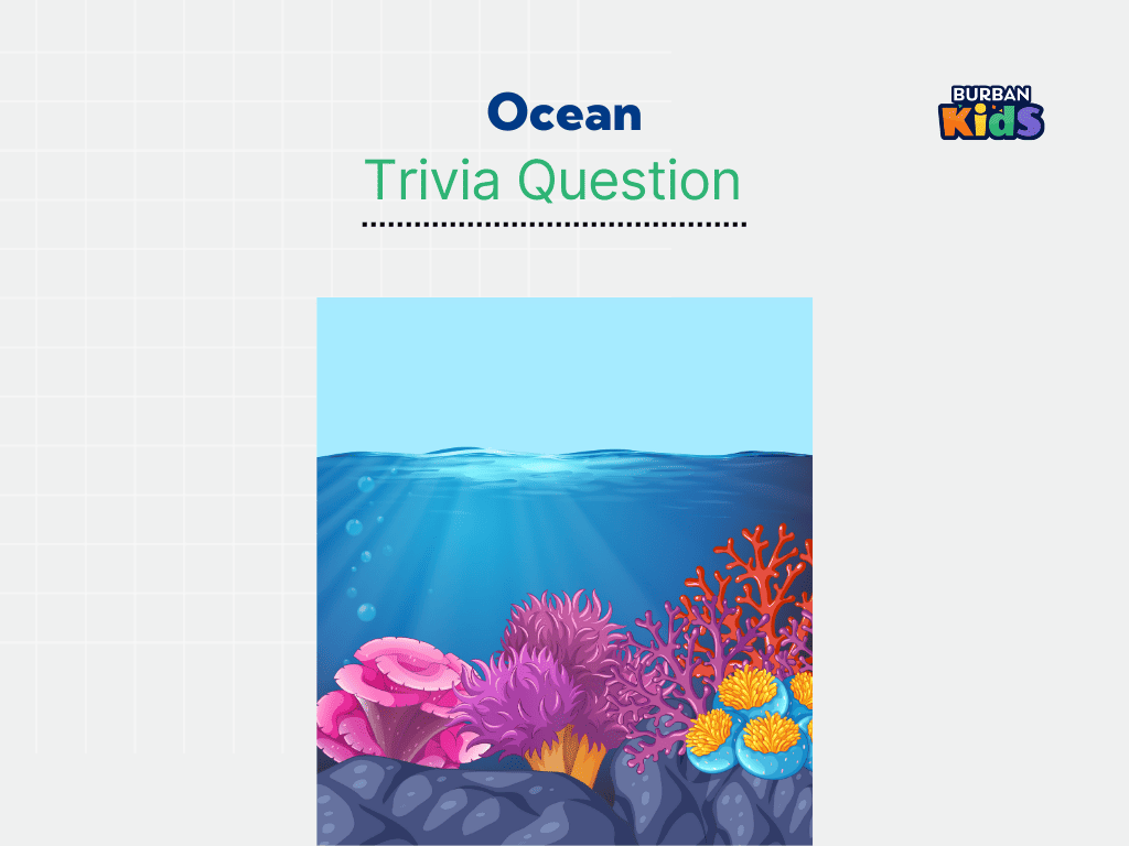 best ocean trivia questions