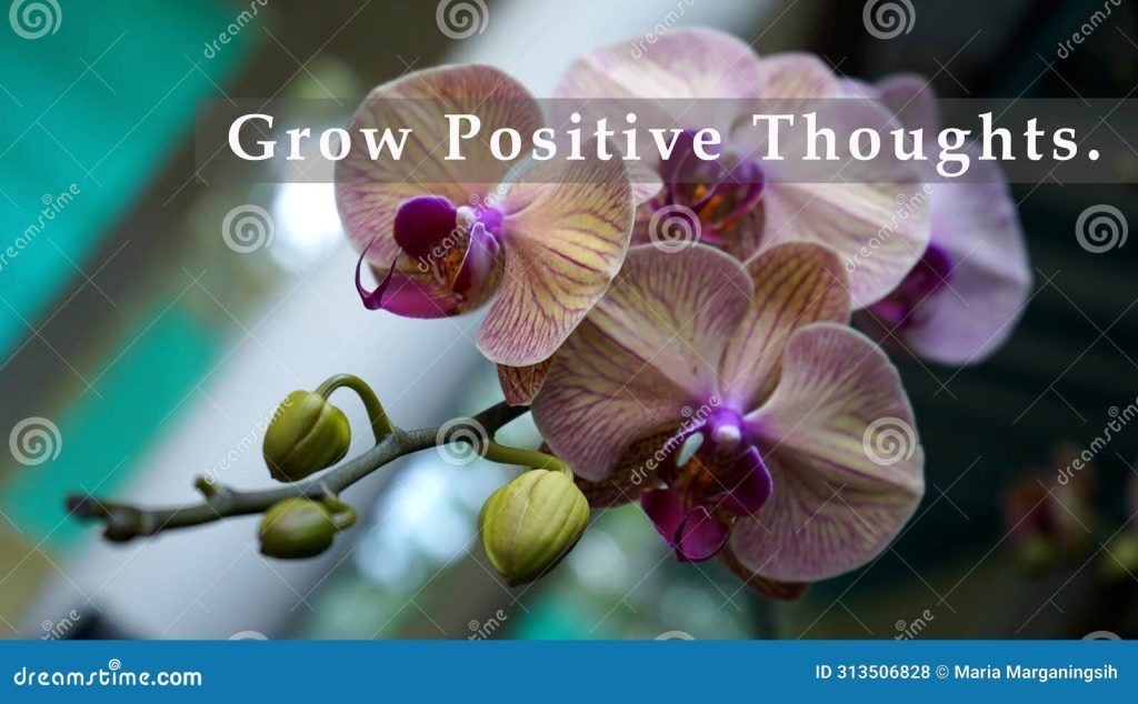 best orchids quotes