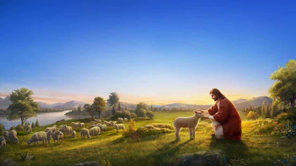 best parable of the lost sheep discussion questions