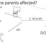 best pedigree analysis questions