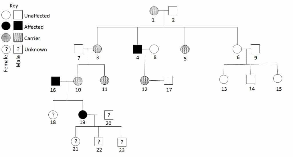 best pedigree practice questions