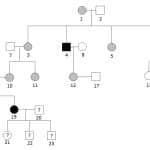 best pedigree practice questions
