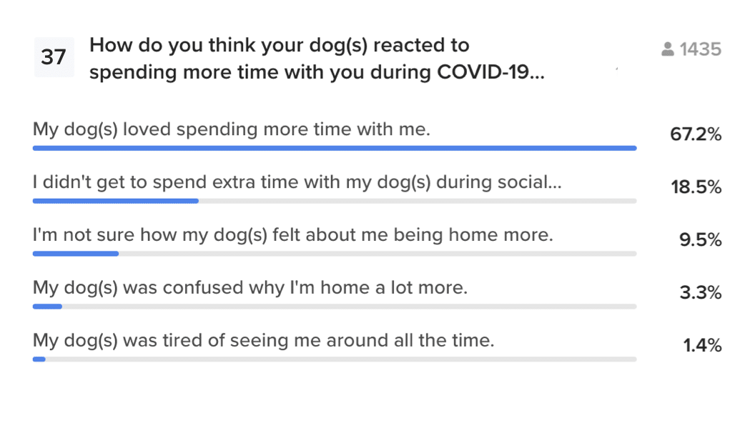 best pet survey questions