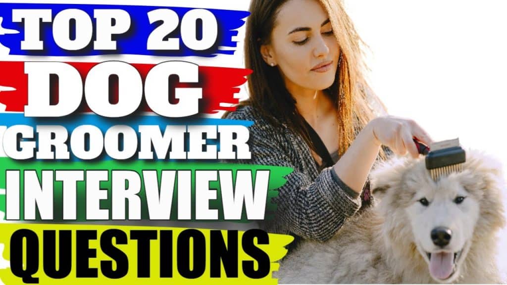 best petco interview questions
