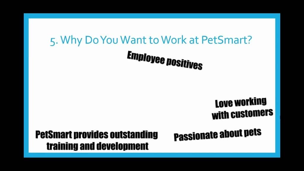best petsmart interview questions
