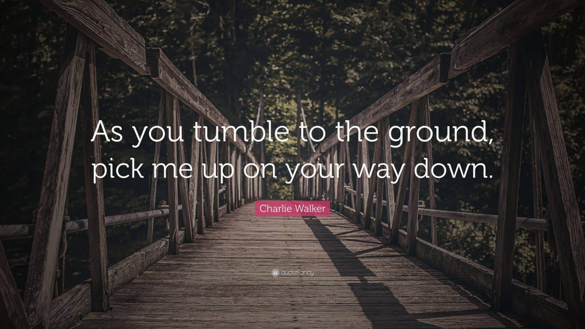 best pick me up quotes for her scaled