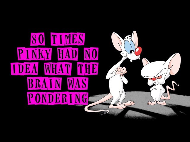 best pinky n the brain quotes