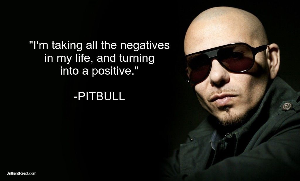 best pitbull quotes rapper