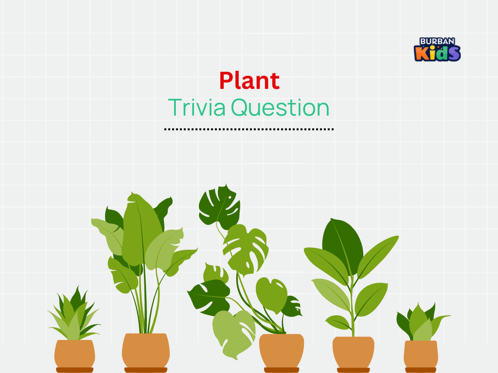 best plant trivia questions
