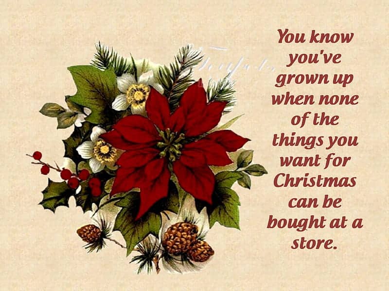 best poinsettia quotes