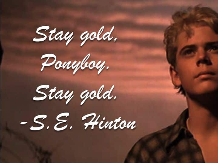 best ponyboy quotes