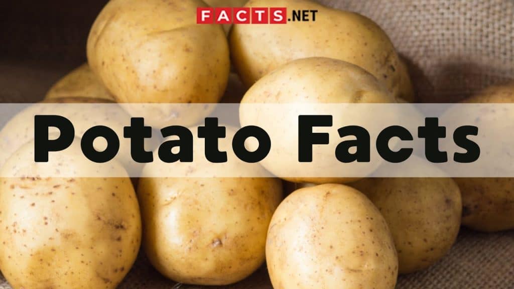 best potato trivia questions and answers