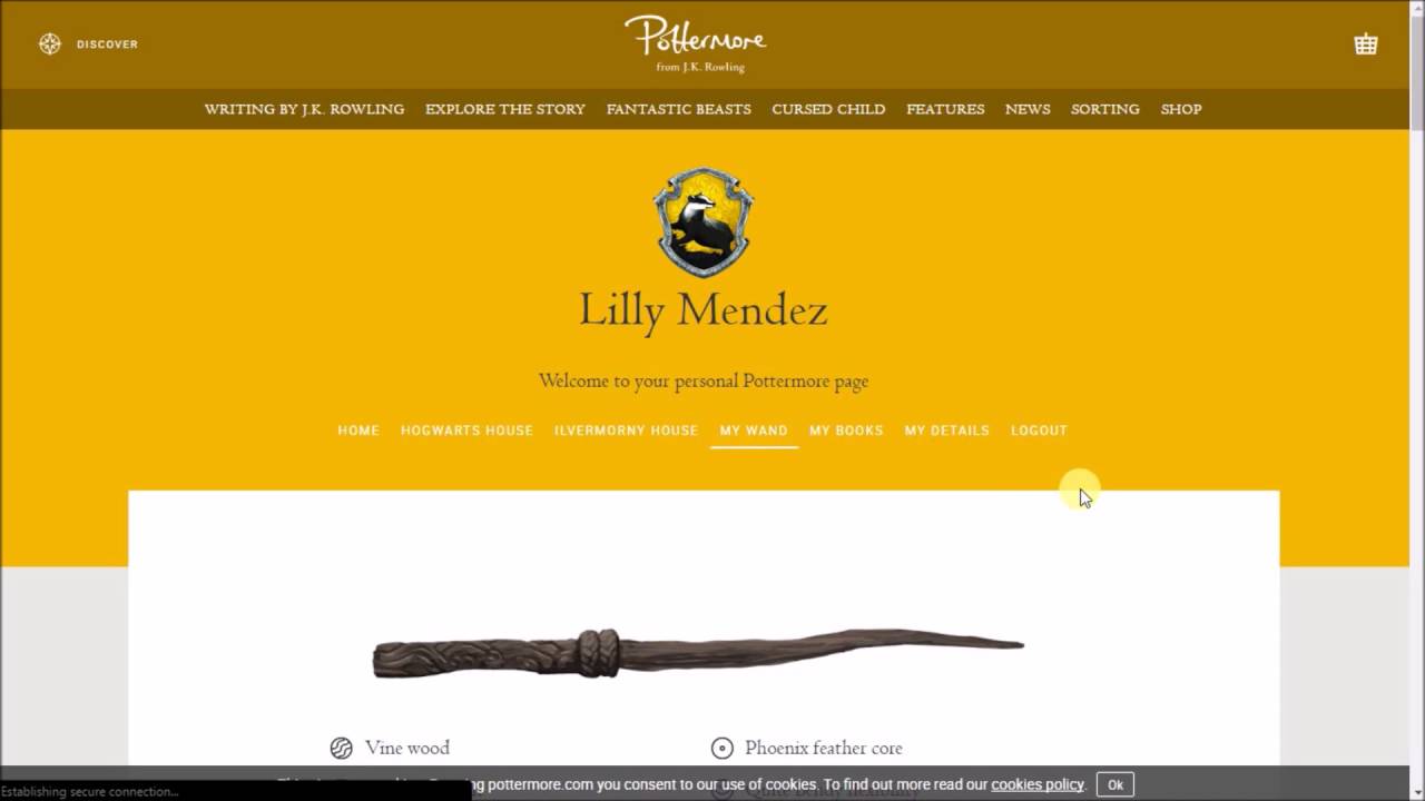 best pottermore wand quiz all questions