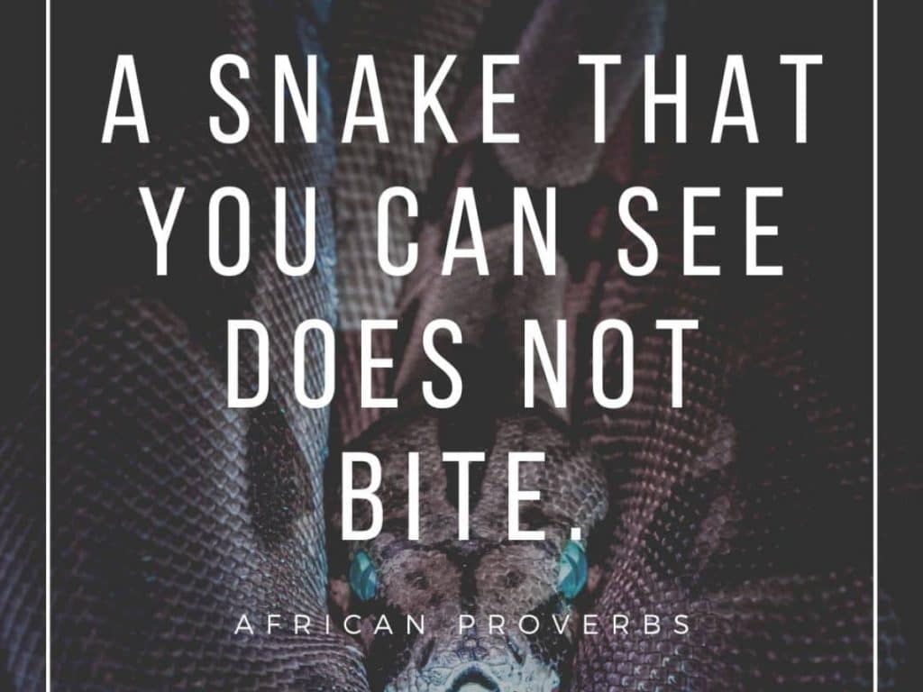 best proverbs quotes